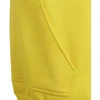Adidas Entrada 22 Hoody Y Jr džemperis HI2142
