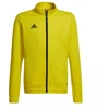 Adidas Entrada 22 jaunimo džemperis HI2139