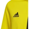 Adidas Entrada 22 jaunimo džemperis HI2139