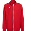 Adidas Entrada 22 Jaunimo Reprezentacinis Džemperis H57540