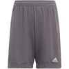 Adidas Entrada 22 Jr H57507 šortai