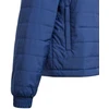 Adidas Entrada 22 Jr IB6072 striukė