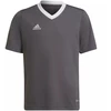 Adidas Entrada 22 Jsy Jr Marškinėliai H57499