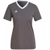 Adidas Entrada 22 Jsy W Marškinėliai H59848