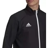 Adidas Entrada 22 M džemperis H57534