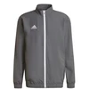 Adidas Entrada 22 M džemperis H57535