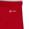 Adidas Entrada 22 M H61735 šortai