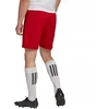 Adidas Entrada 22 M H61735 šortai