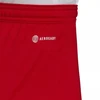 Adidas Entrada 22 M H61735 šortai