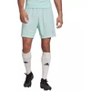 Adidas Entrada 22 M HC5051 šortai