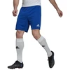 Adidas Entrada 22 M HG6294 šortai