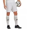Adidas Entrada 22 M HG6295 šortai