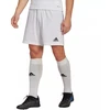 Adidas Entrada 22 M HG6295 šortai