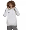 Adidas Entrada 22 M HG6302 džemperis