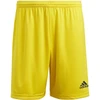adidas Entrada 22 M IC7404 šortai