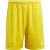 adidas Entrada 22 M IC7404 šortai