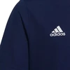 adidas Entrada 22 marškinėliai Jr H57564