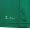 adidas Entrada 22 Marškinėliai Jr HI2126