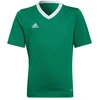 adidas Entrada 22 Marškinėliai Jr HI2126