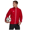 Adidas Entrada 22 Pristatymo Striukė M H57536 džemperis