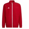 Adidas Entrada 22 Pristatymo Striukė M H57536 džemperis