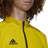 Adidas Entrada 22 sportinis džemperis vyrams M HI2134