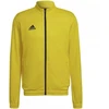 Adidas Entrada 22 sportinis džemperis vyrams M HI2134