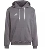 Adidas Entrada 22 Sweat M HB0578 džemperis