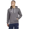 Adidas Entrada 22 Sweat M HB0578 džemperis