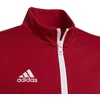 Adidas Entrada 22 Track Jr H57563 džemperis