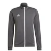 Adidas Entrada 22 Track M H57522 džemperis