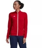 Adidas Entrada 22 Treneris W H57562 džemperis