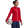Adidas Entrada 22 Treneris W H57562 džemperis