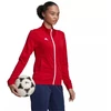 Adidas Entrada 22 Treneris W H57562 džemperis