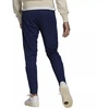 Adidas Entrada 22 Treniruočių Kelnės M HC0333