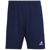 Adidas Entrada 22 treniruočių šortai M H57488