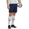 Adidas Entrada 22 treniruočių šortai M H57488