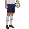 Adidas Entrada 22 treniruočių šortai M H57488