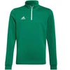 Adidas Entrada 22 Treniruočių viršutinė dalis Jr HI2132 džemperis