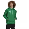 Adidas Entrada 22 Vyriškas džemperis su kapišonu M HI2141