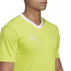 Adidas Entrada 22 Vyriški marškinėliai HC5077