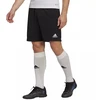 Adidas Entrada 22 Vyriški Treniruočių Šortai M HB0575