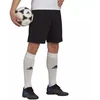 Adidas Entrada 22 Vyriški Treniruočių Šortai M HB0575