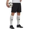 Adidas Entrada 22 Vyriški Treniruočių Šortai M HB0575