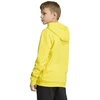 Adidas ENTRADA 26 džemperis su gobtuvu (Junior) JZ6564