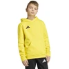 Adidas ENTRADA 26 džemperis su gobtuvu (Junior) JZ6564