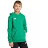 Adidas Entrada 26 Džemperis su gobtuvu žalias JZ6563 vaikiškas