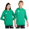 Adidas Entrada 26 Džemperis su gobtuvu žalias JZ6563 vaikiškas