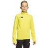 adidas Entrada 26 geltona treniruočių viršutinė dalis JZ6639