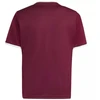 adidas Entrada 26 Jersey bordo vaikiški marškinėliai JZ2530